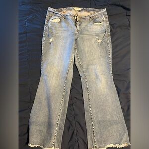 Torrid Jeans